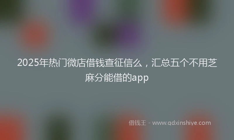 2025年热门微店借钱查征信么，汇总五个不用芝麻分能借的app