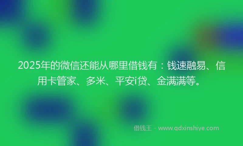 2025年的微信还能从哪里借钱有：钱速融易、信用卡管家、多米、平安i贷、金满满等。