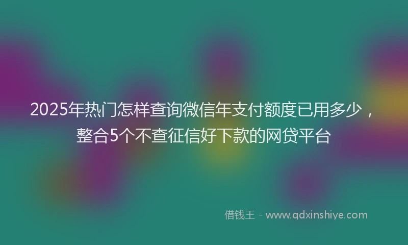 2025年热门怎样查询微信年支付额度已用多少，整合5个不查征信好下款的网贷平台