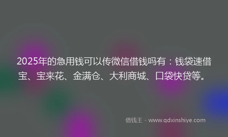 2025年的急用钱可以传微信借钱吗有：钱袋速借宝、宝来花、金满仓、大利商城、口袋快贷等。