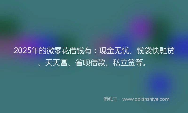 2025年的微零花借钱有：现金无忧、钱袋快融贷、天天富、省呗借款、私立签等。