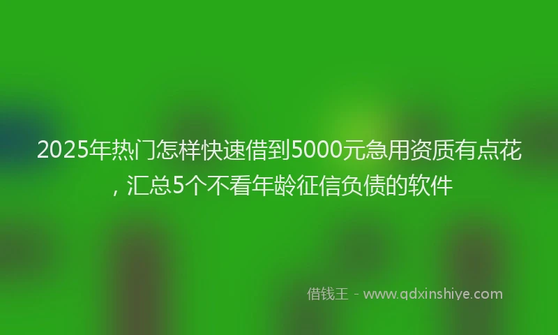 2025年热门怎样快速借到5000元急用资质有点花，汇总5个不看年龄征信负债的软件