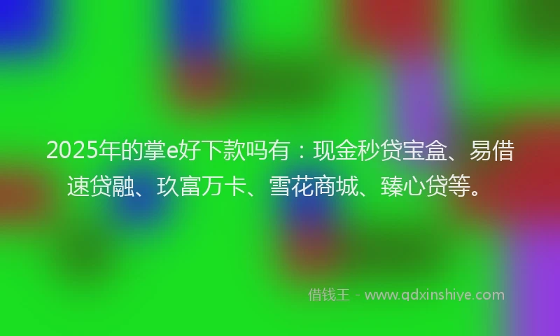 2025年的掌e好下款吗有：现金秒贷宝盒、易借速贷融、玖富万卡、雪花商城、臻心贷等。