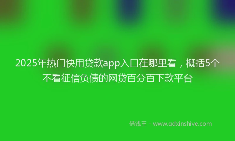 2025年热门快用贷款app入口在哪里看，概括5个不看征信负债的网贷百分百下款平台