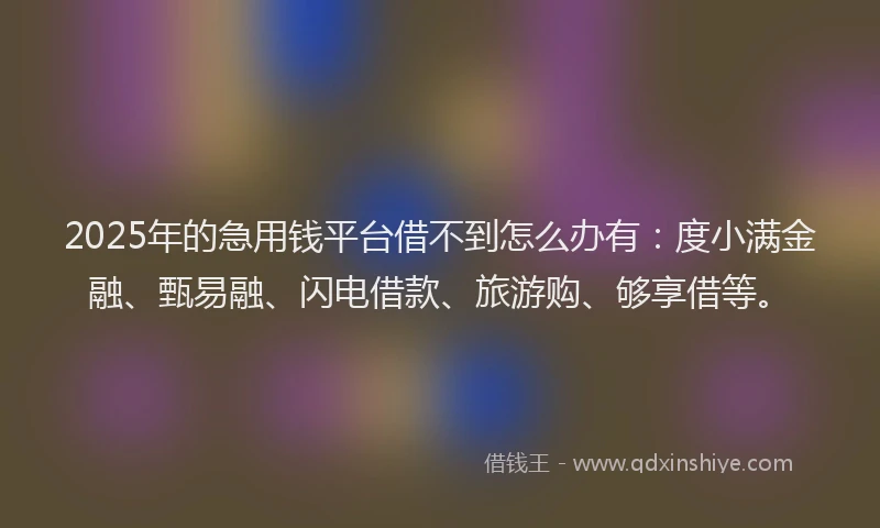 2025年的急用钱平台借不到怎么办有：度小满金融、甄易融、闪电借款、旅游购、够享借等。