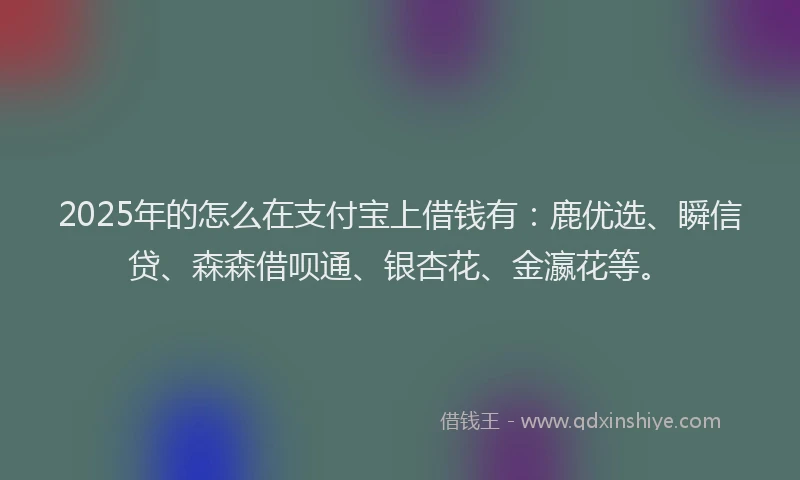 2025年的怎么在支付宝上借钱有：鹿优选、瞬信贷、森森借呗通、银杏花、金瀛花等。