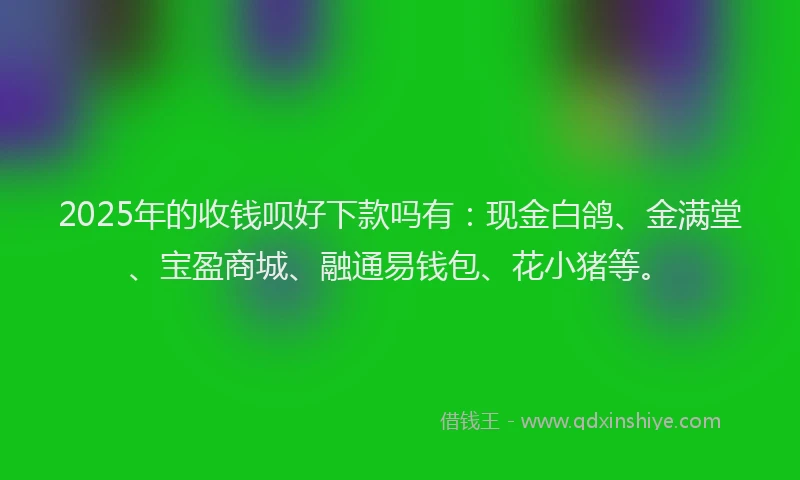 2025年的收钱呗好下款吗有：现金白鸽、金满堂、宝盈商城、融通易钱包、花小猪等。