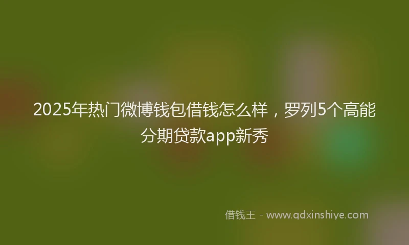 2025年热门微博钱包借钱怎么样，罗列5个高能分期贷款app新秀