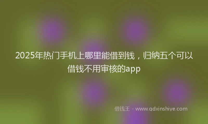 2025年热门手机上哪里能借到钱，归纳五个可以借钱不用审核的app