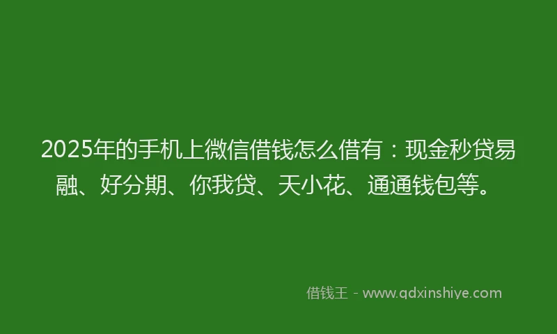 2025年的手机上微信借钱怎么借有：现金秒贷易融、好分期、你我贷、天小花、通通钱包等。