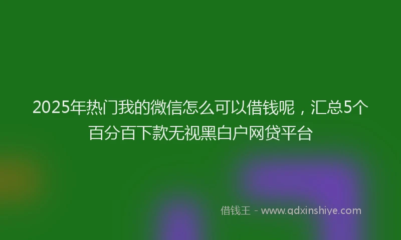 2025年热门我的微信怎么可以借钱呢，汇总5个百分百下款无视黑白户网贷平台