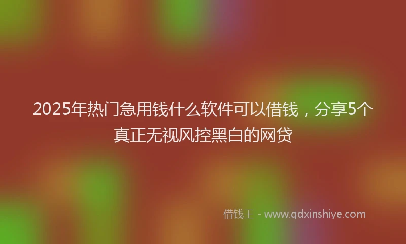 2025年热门急用钱什么软件可以借钱，分享5个真正无视风控黑白的网贷