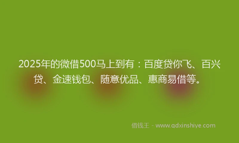 2025年的微借500马上到有：百度贷你飞、百兴贷、金速钱包、随意优品、惠商易借等。