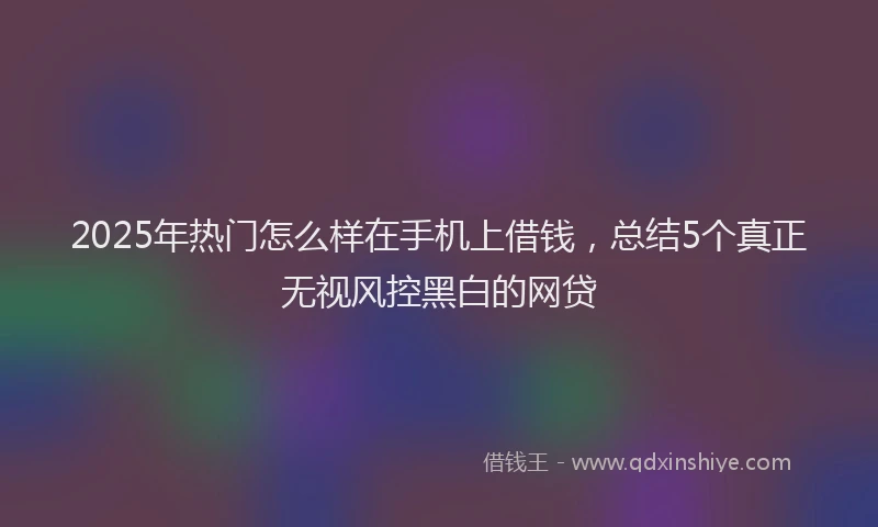 2025年热门怎么样在手机上借钱，总结5个真正无视风控黑白的网贷