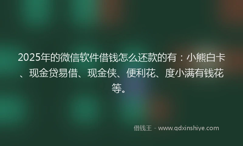 2025年的微信软件借钱怎么还款的有：小熊白卡、现金贷易借、现金侠、便利花、度小满有钱花等。