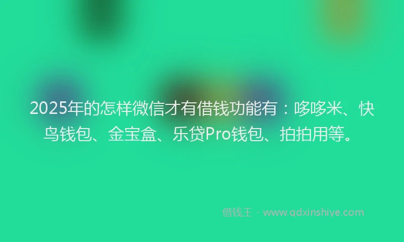 2025年的怎样微信才有借钱功能有：哆哆米、快鸟钱包、金宝盒、乐贷Pro钱包、拍拍用等。