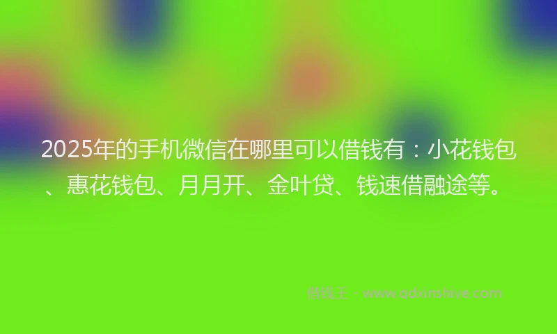2025年的手机微信在哪里可以借钱有：小花钱包、惠花钱包、月月开、金叶贷、钱速借融途等。