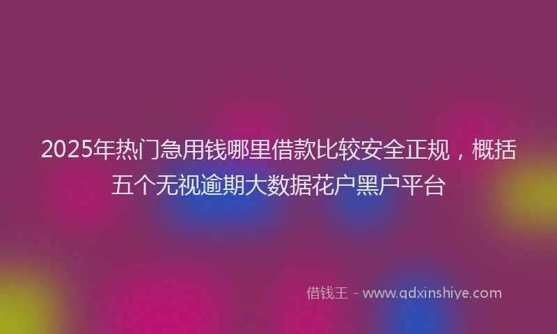 2025年热门急用钱哪里借款比较安全正规，概括五个无视逾期大数据花户黑户平台