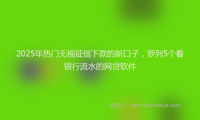 2025年热门无视征信下款的新口子，罗列5个看银行流水的网贷软件