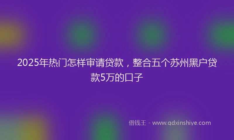 2025年热门怎样审请贷款，整合五个苏州黑户贷款5万的口子