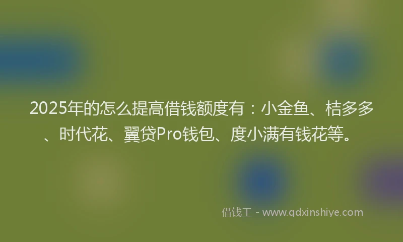 2025年的怎么提高借钱额度有：小金鱼、桔多多、时代花、翼贷Pro钱包、度小满有钱花等。
