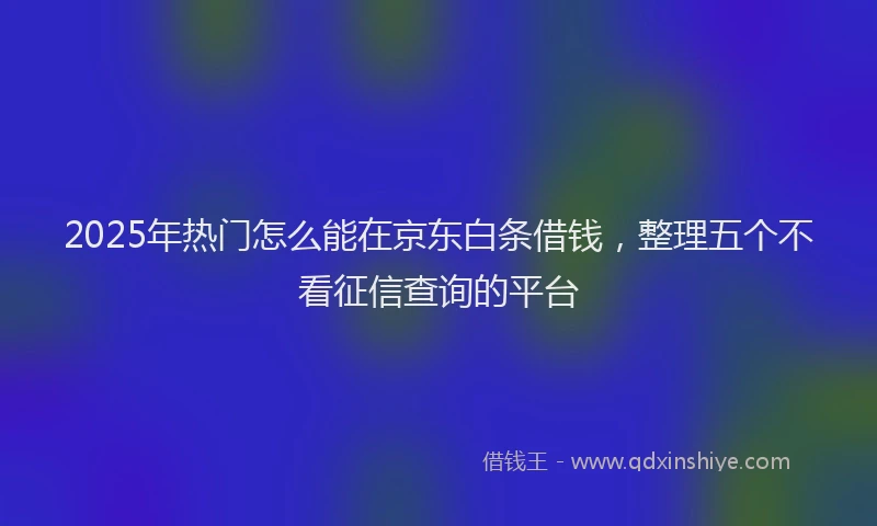 2025年热门怎么能在京东白条借钱，整理五个不看征信查询的平台