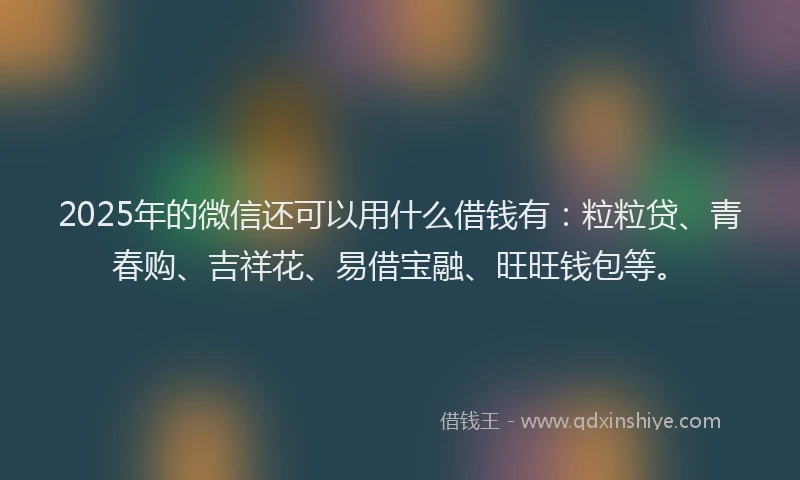 2025年的微信还可以用什么借钱有：粒粒贷、青春购、吉祥花、易借宝融、旺旺钱包等。