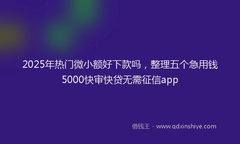 2025年热门微小额好下款吗，整理五个急用钱5000快审快贷无需征信app