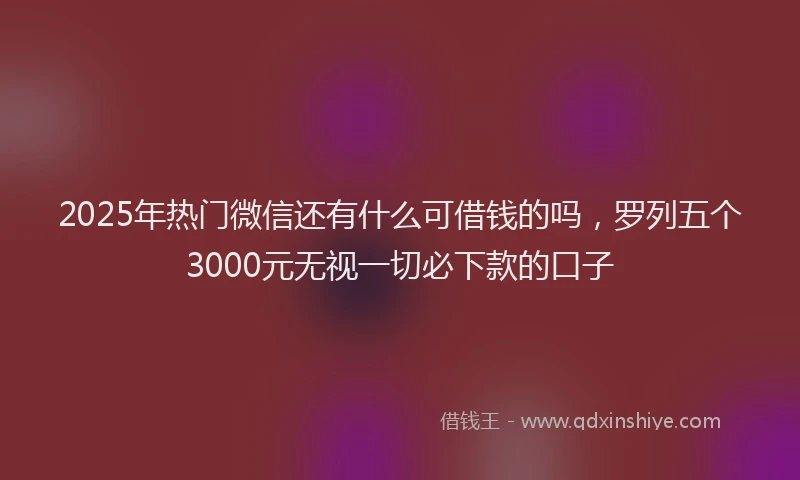 2025年热门微信还有什么可借钱的吗，罗列五个3000元无视一切必下款的口子