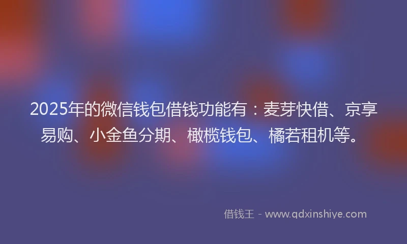 2025年的微信钱包借钱功能有：麦芽快借、京享易购、小金鱼分期、橄榄钱包、橘若租机等。