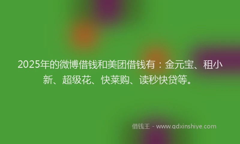 2025年的微博借钱和美团借钱有：金元宝、租小新、超级花、快莱购、读秒快贷等。