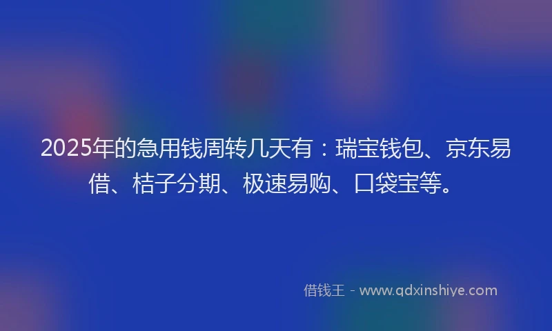2025年的急用钱周转几天有：瑞宝钱包、京东易借、桔子分期、极速易购、口袋宝等。