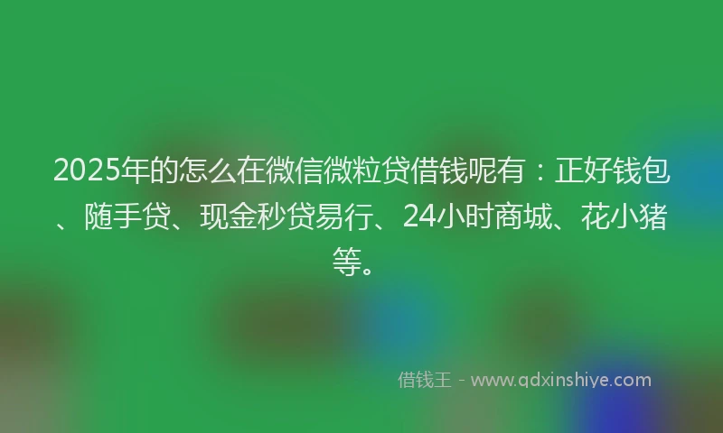 2025年的怎么在微信微粒贷借钱呢有：正好钱包、随手贷、现金秒贷易行、24小时商城、花小猪等。