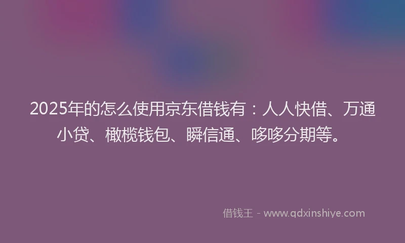 2025年的怎么使用京东借钱有：人人快借、万通小贷、橄榄钱包、瞬信通、哆哆分期等。