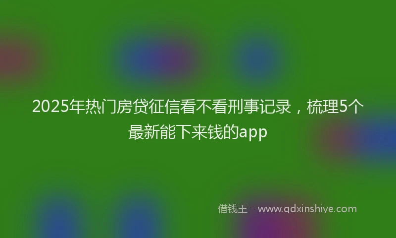 2025年热门房贷征信看不看刑事记录，梳理5个最新能下来钱的app