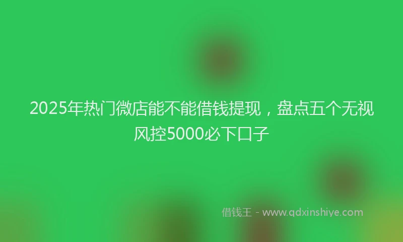 2025年热门微店能不能借钱提现，盘点五个无视风控5000必下口子
