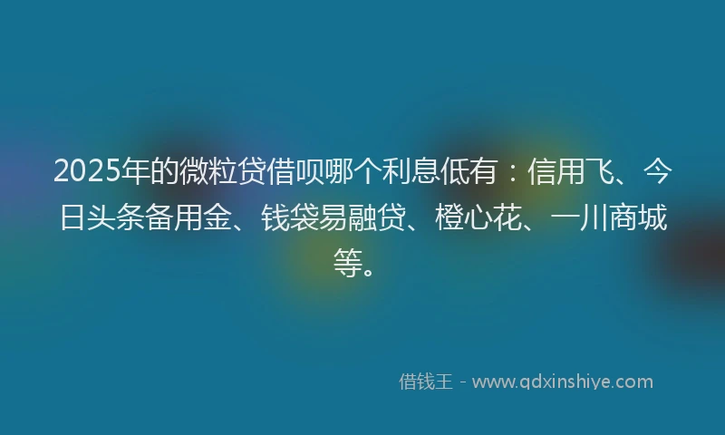 2025年的微粒贷借呗哪个利息低有：信用飞、今日头条备用金、钱袋易融贷、橙心花、一川商城等。