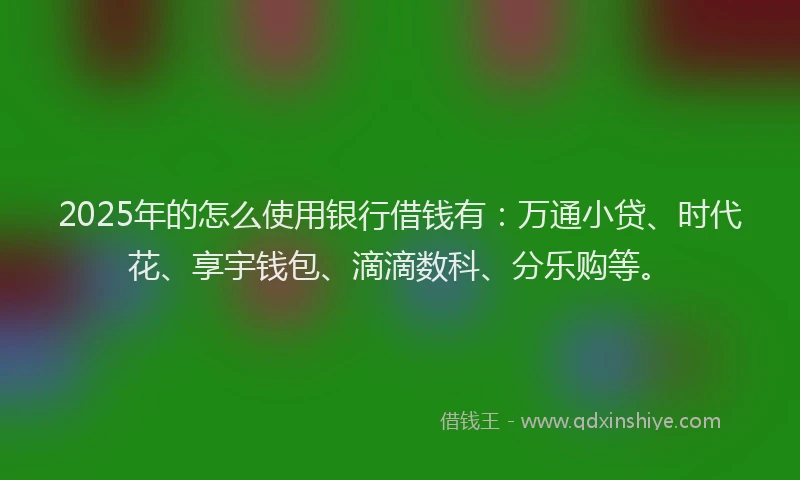 2025年的怎么使用银行借钱有：万通小贷、时代花、享宇钱包、滴滴数科、分乐购等。
