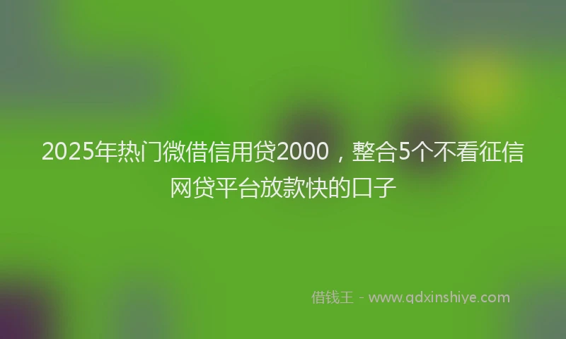 2025年热门微借信用贷2000，整合5个不看征信网贷平台放款快的口子