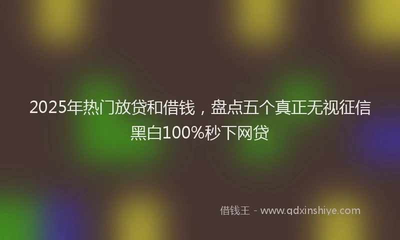 2025年热门放贷和借钱，盘点五个真正无视征信黑白100%秒下网贷