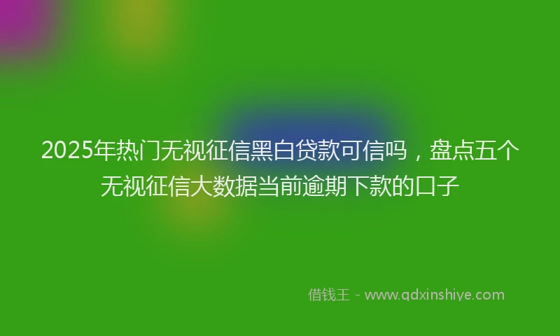 2025年热门无视征信黑白贷款可信吗，盘点五个无视征信大数据当前逾期下款的口子
