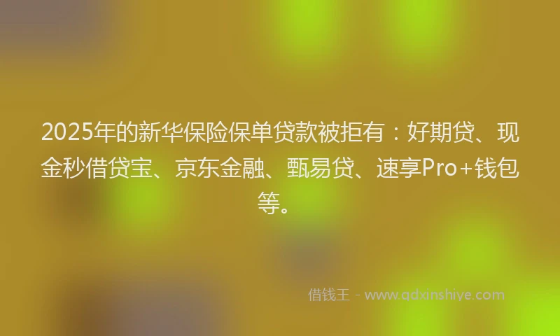 2025年的新华保险保单贷款被拒有：好期贷、现金秒借贷宝、京东金融、甄易贷、速享Pro+钱包等。