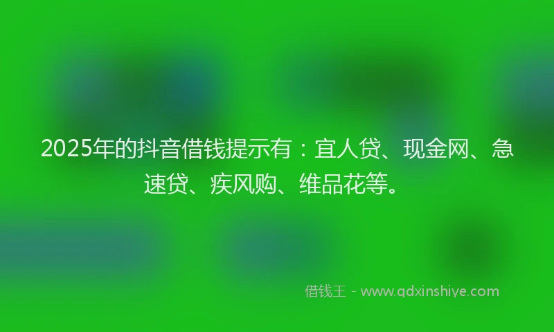 2025年的抖音借钱提示有：宜人贷、现金网、急速贷、疾风购、维品花等。