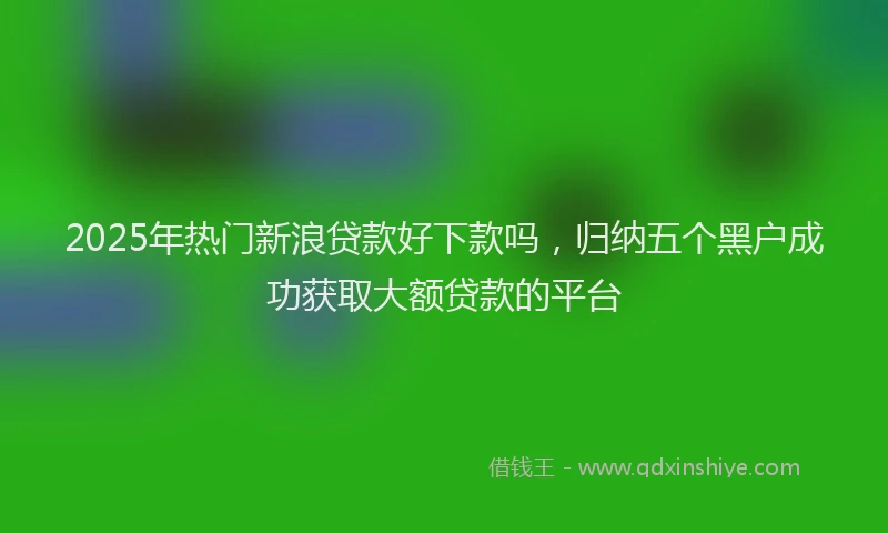 2025年热门新浪贷款好下款吗，归纳五个黑户成功获取大额贷款的平台