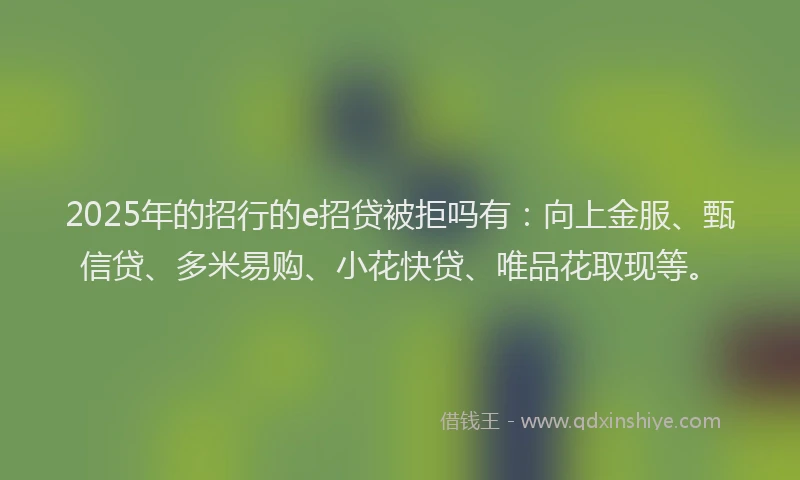 2025年的招行的e招贷被拒吗有：向上金服、甄信贷、多米易购、小花快贷、唯品花取现等。