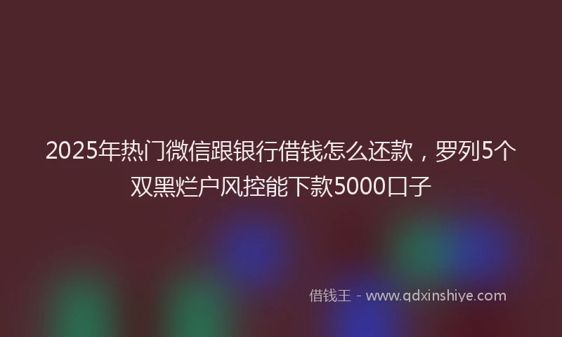 2025年热门微信跟银行借钱怎么还款，罗列5个双黑烂户风控能下款5000口子