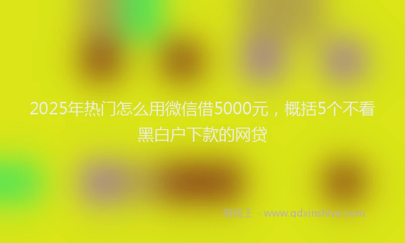 2025年热门怎么用微信借5000元，概括5个不看黑白户下款的网贷