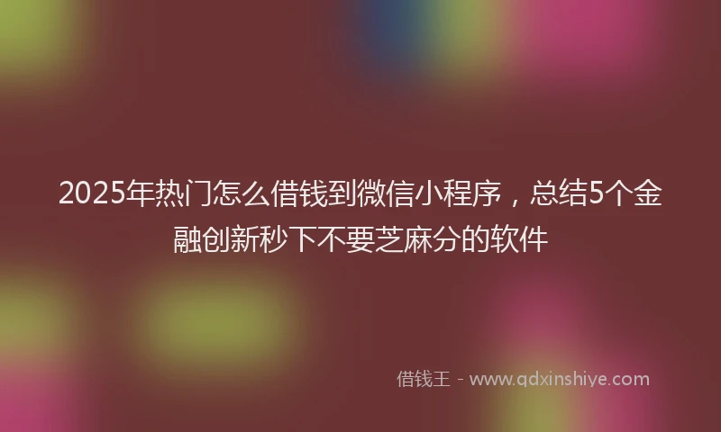 2025年热门怎么借钱到微信小程序，总结5个金融创新秒下不要芝麻分的软件