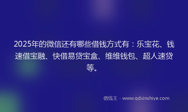 2025年的微信还有哪些借钱方式有：乐宝花、钱速借宝融、快借易贷宝盒、维维钱包、超人速贷等。