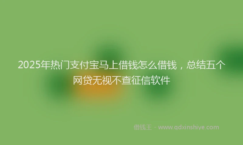 2025年热门支付宝马上借钱怎么借钱，总结五个网贷无视不查征信软件